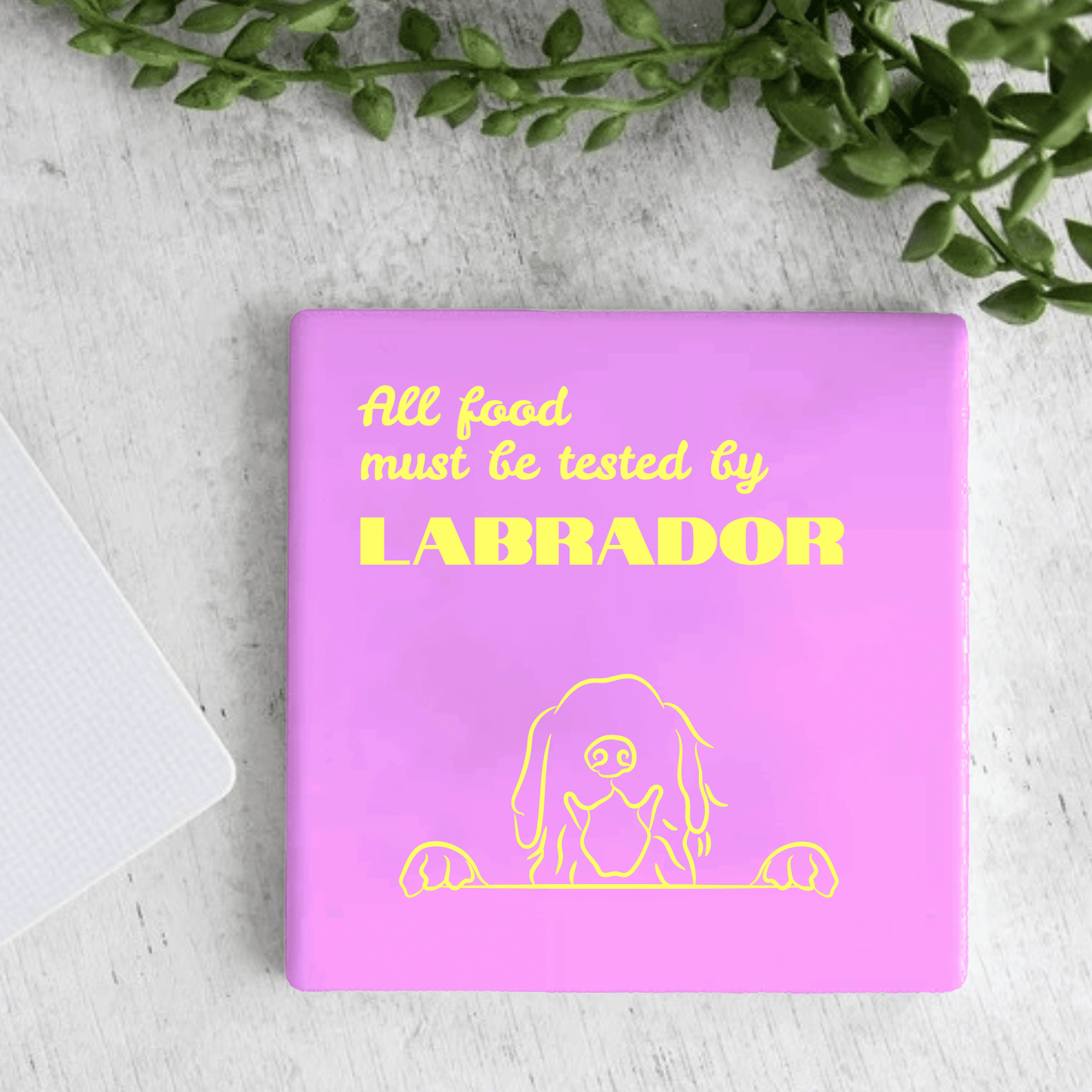 Tegel - All Food Must be Tested by Labrador