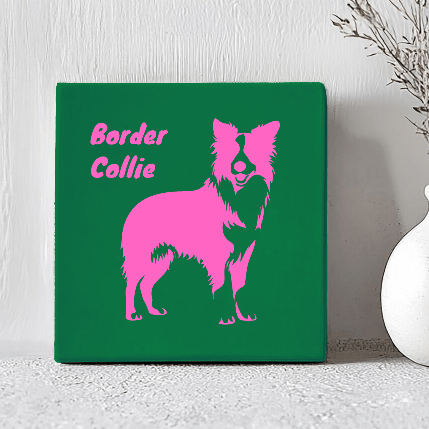 Tegel - Border Collie