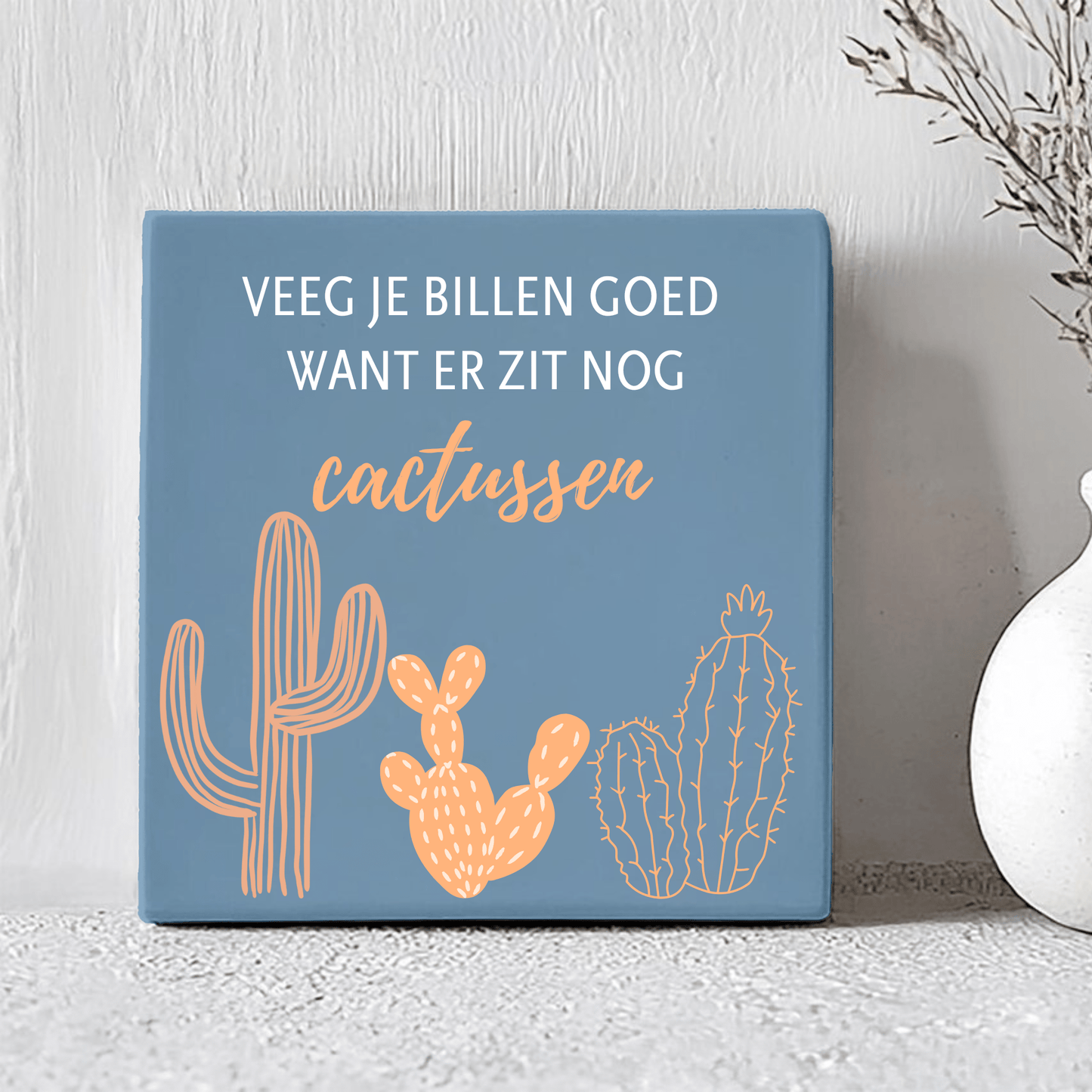 Tegel - Veeg Je Billen Goed Want Er Zit Nog Cactussen