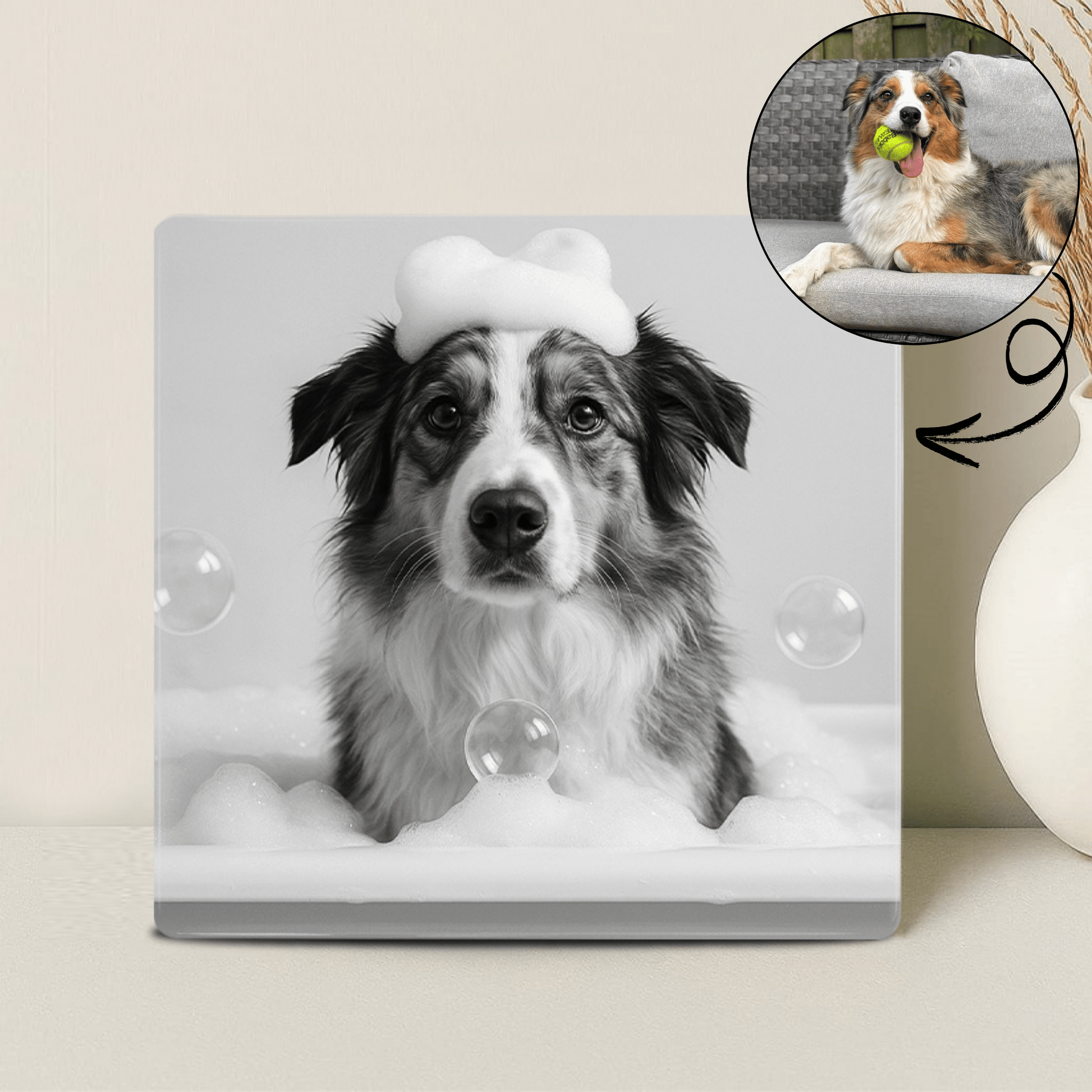 Humor Huisdier Portret Zwart Wit Serie - Bad