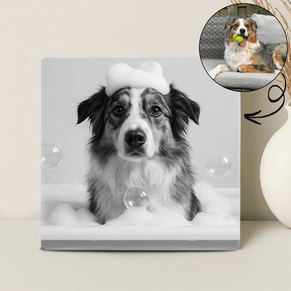 Humor Huisdier Portret Zwart Wit Serie - Bad