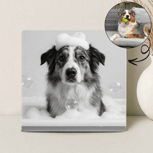 Humor Huisdier Portret Zwart Wit Serie - Bad