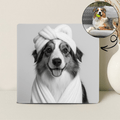 Humor Huisdier Portret Zwart Wit Serie - Relaxen