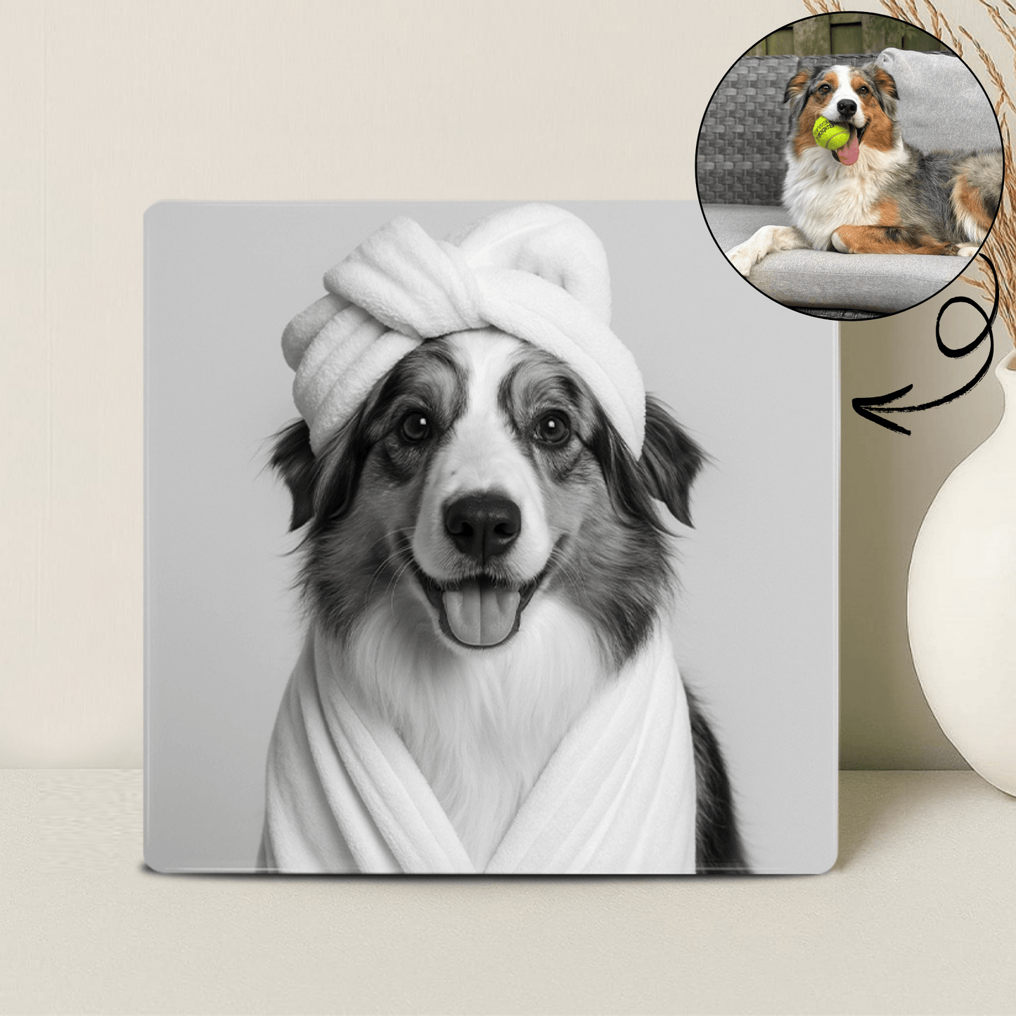 Humor Huisdier Portret Zwart Wit Serie - Relaxen