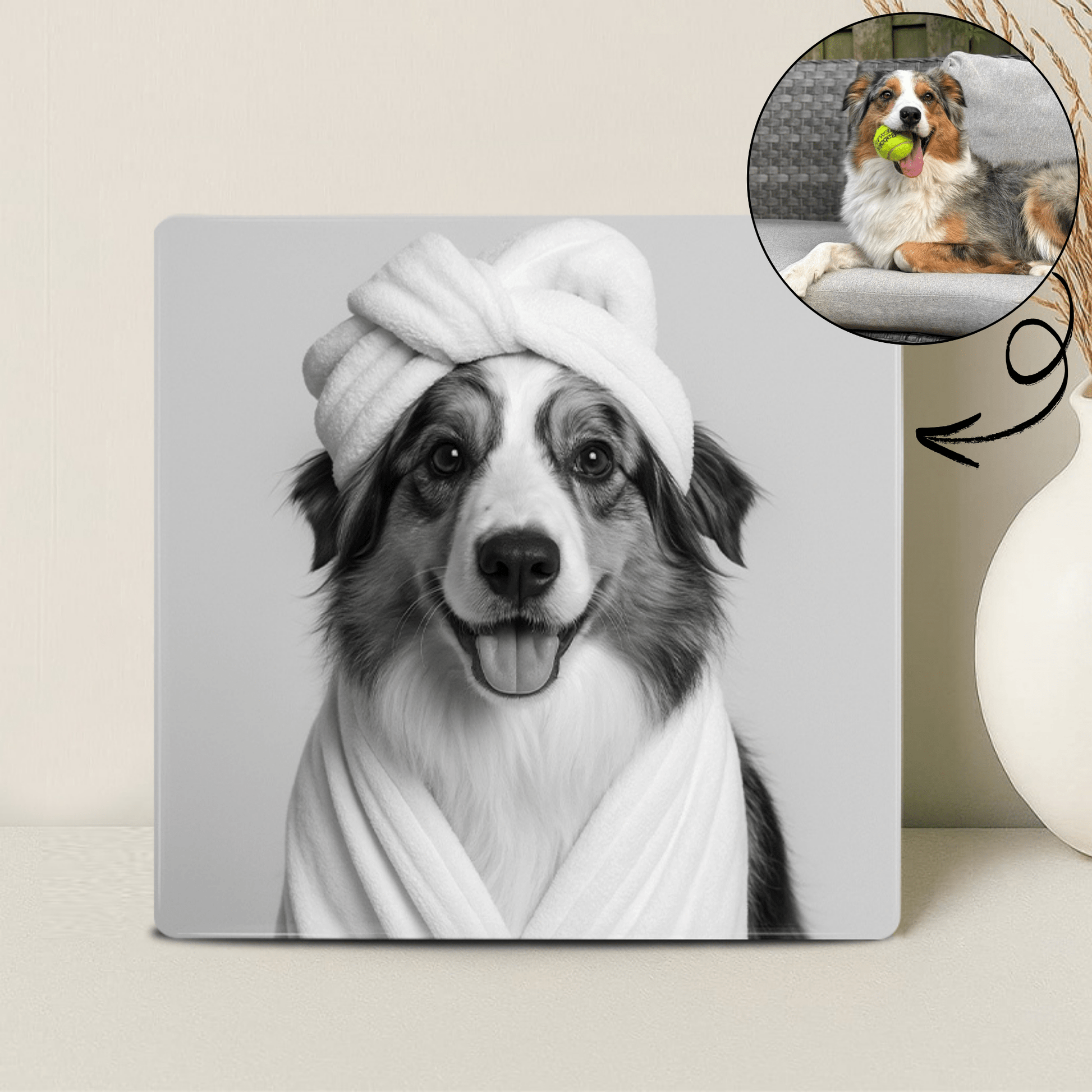 Humor Huisdier Portret Zwart Wit Serie - Relaxen