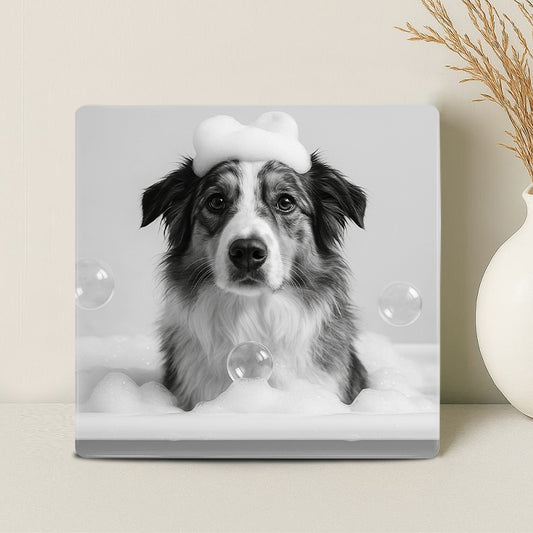 Humor Huisdier Zwart Wit Portret Serie van vier items - Badkamer - Printazzy