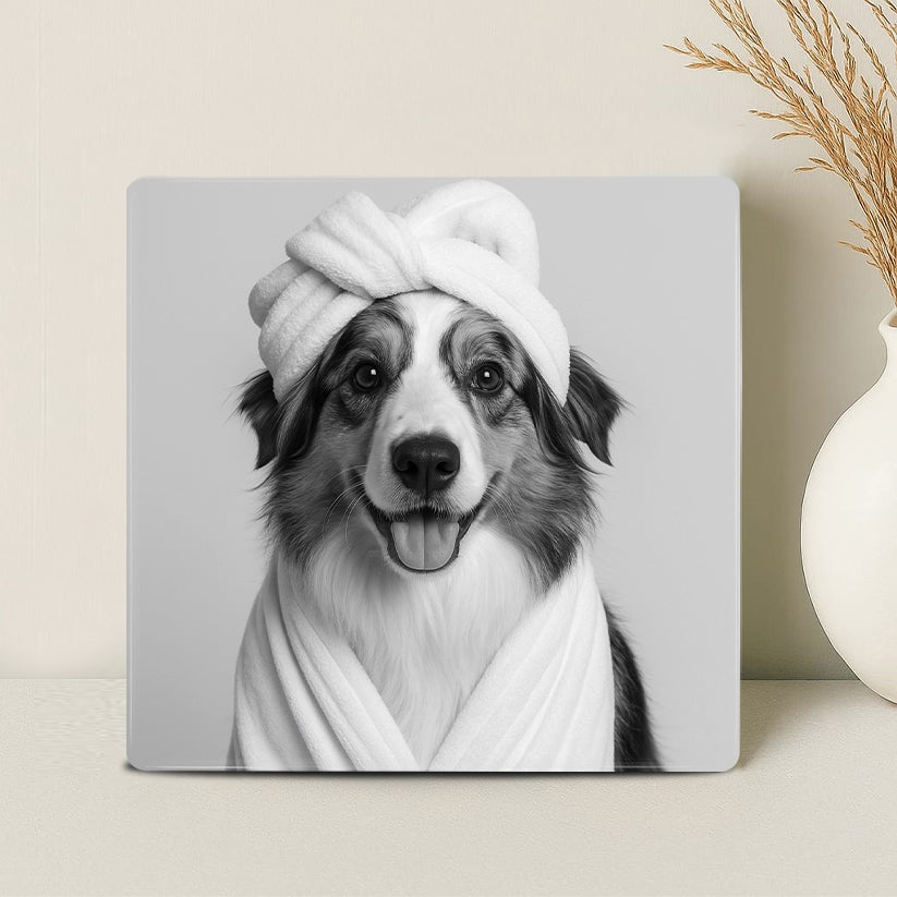 Humor Huisdier Zwart Wit Portret Serie van vier items - Badkamer - Printazzy