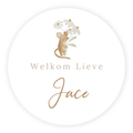 Raamsticker geboorte baby - Muisje