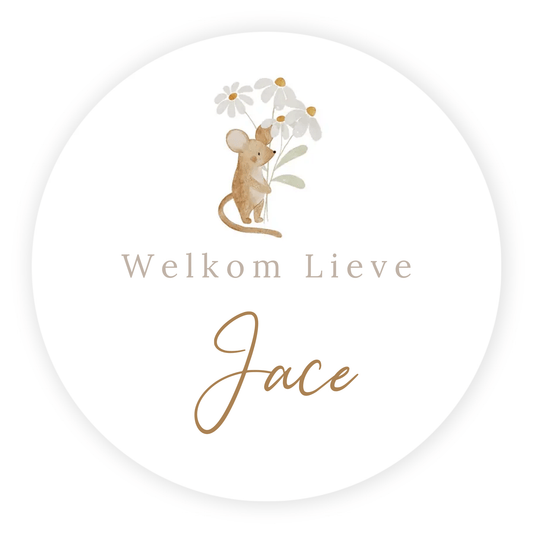 Raamsticker geboorte baby - Muisje