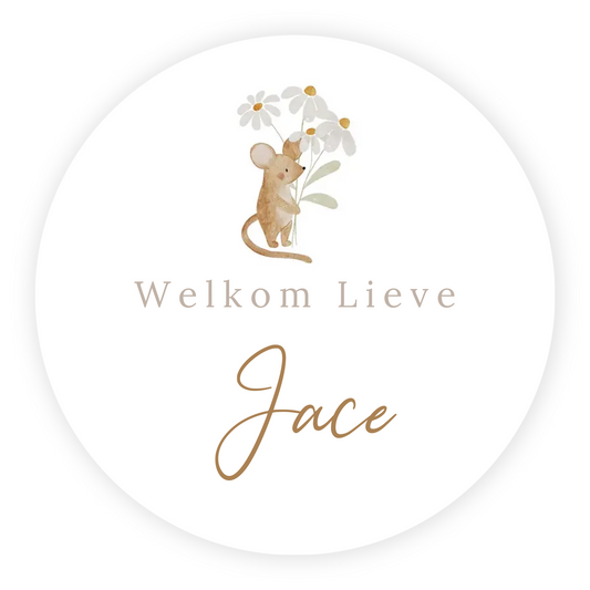 Raamsticker geboorte baby - Muisje