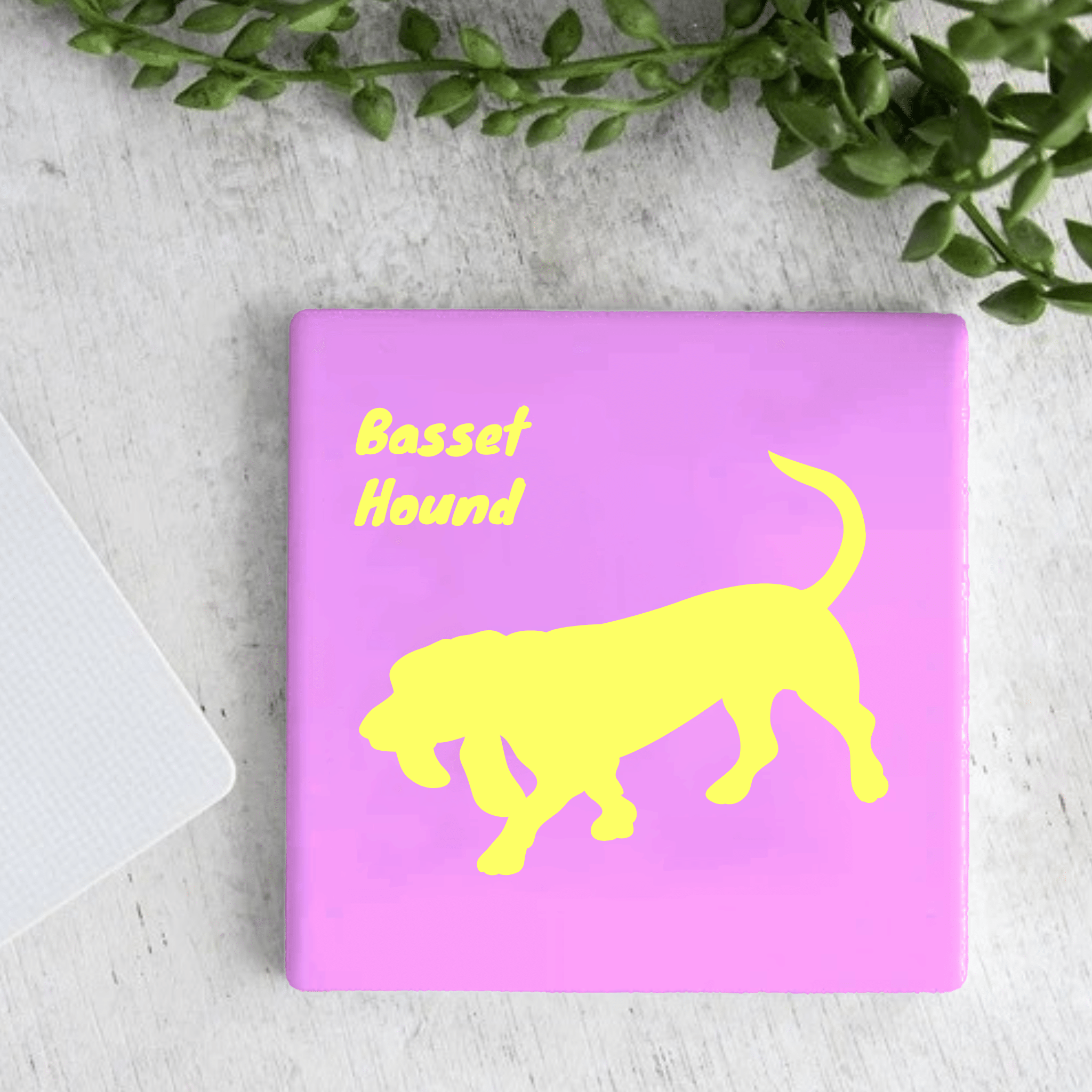 Tegel - Basset Hound - Printazzy