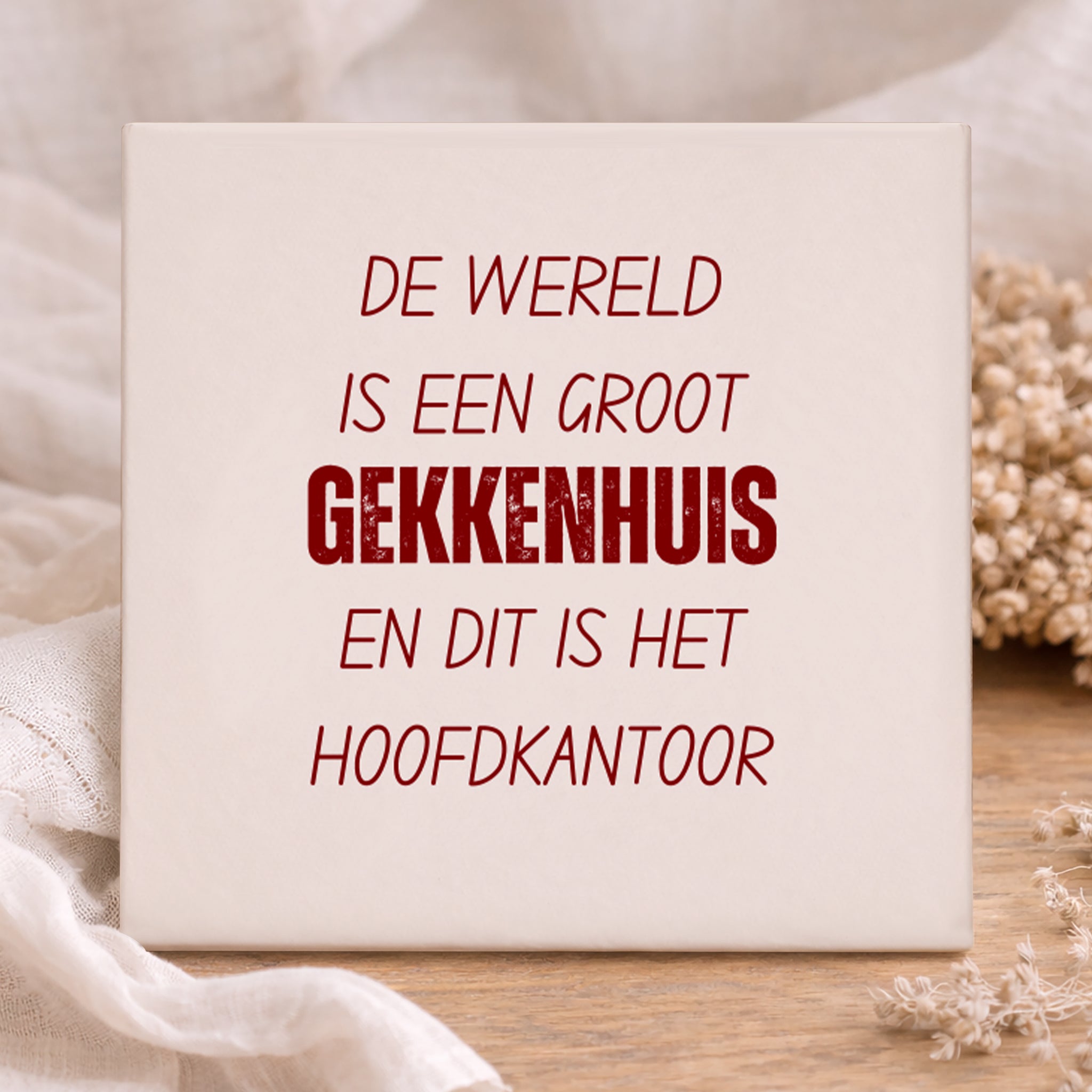 Tegel - Gekkenhuis
