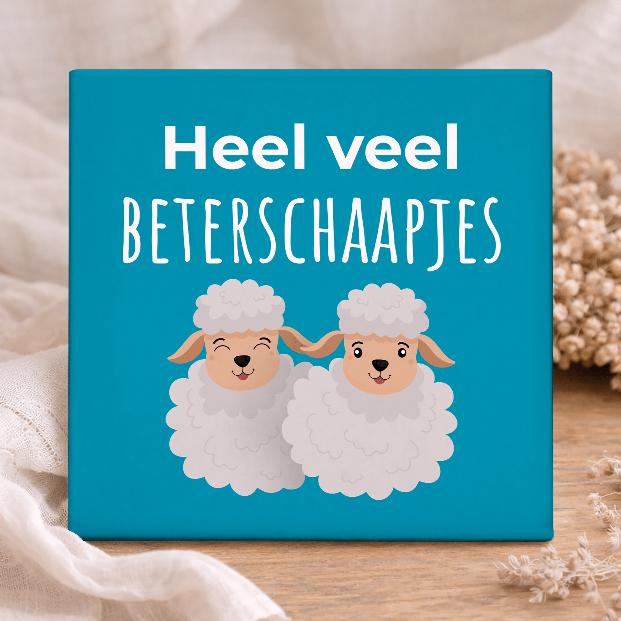 Tegel - Heel Veel Beterschaapjes