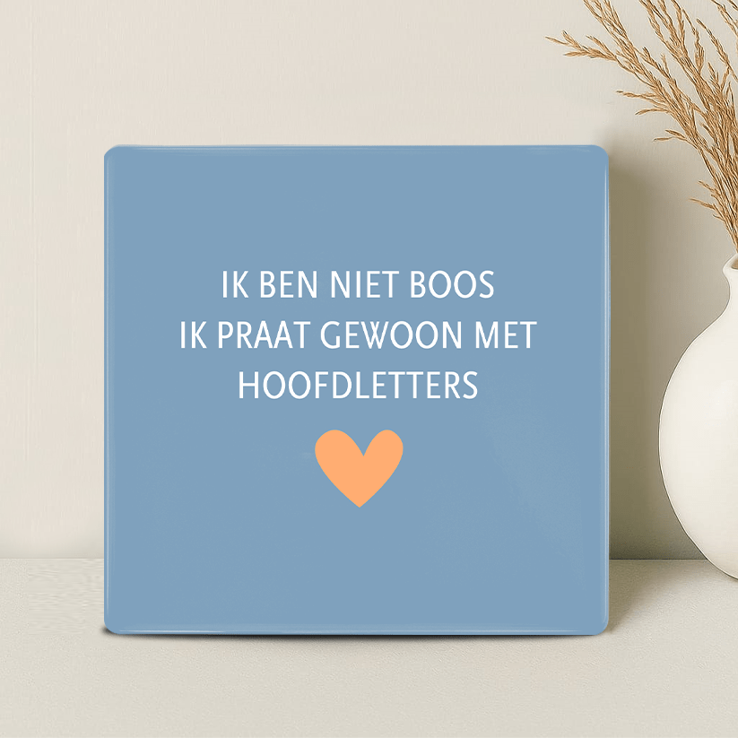 Tegel - Ik ben niet boos. Ik praat gewoon met hoofdletters