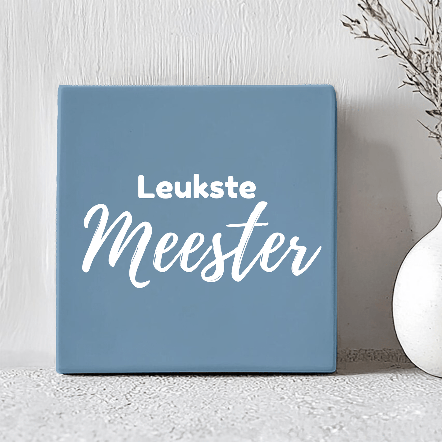 Tegel - Leukste Meester