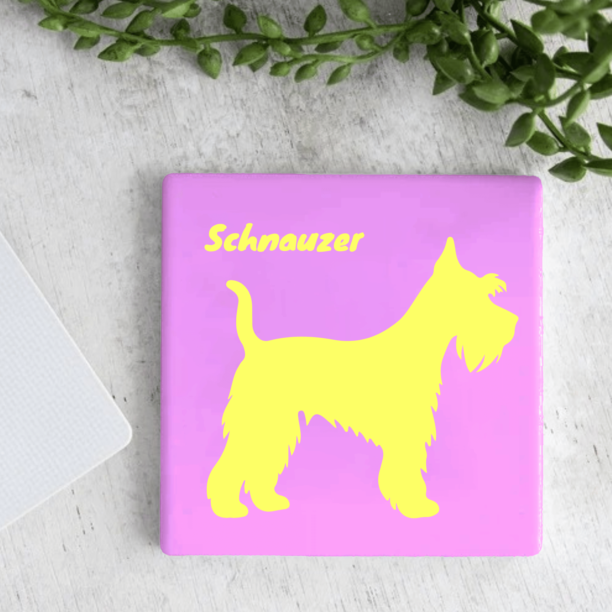 Tegel - Schnauzer - Printazzy
