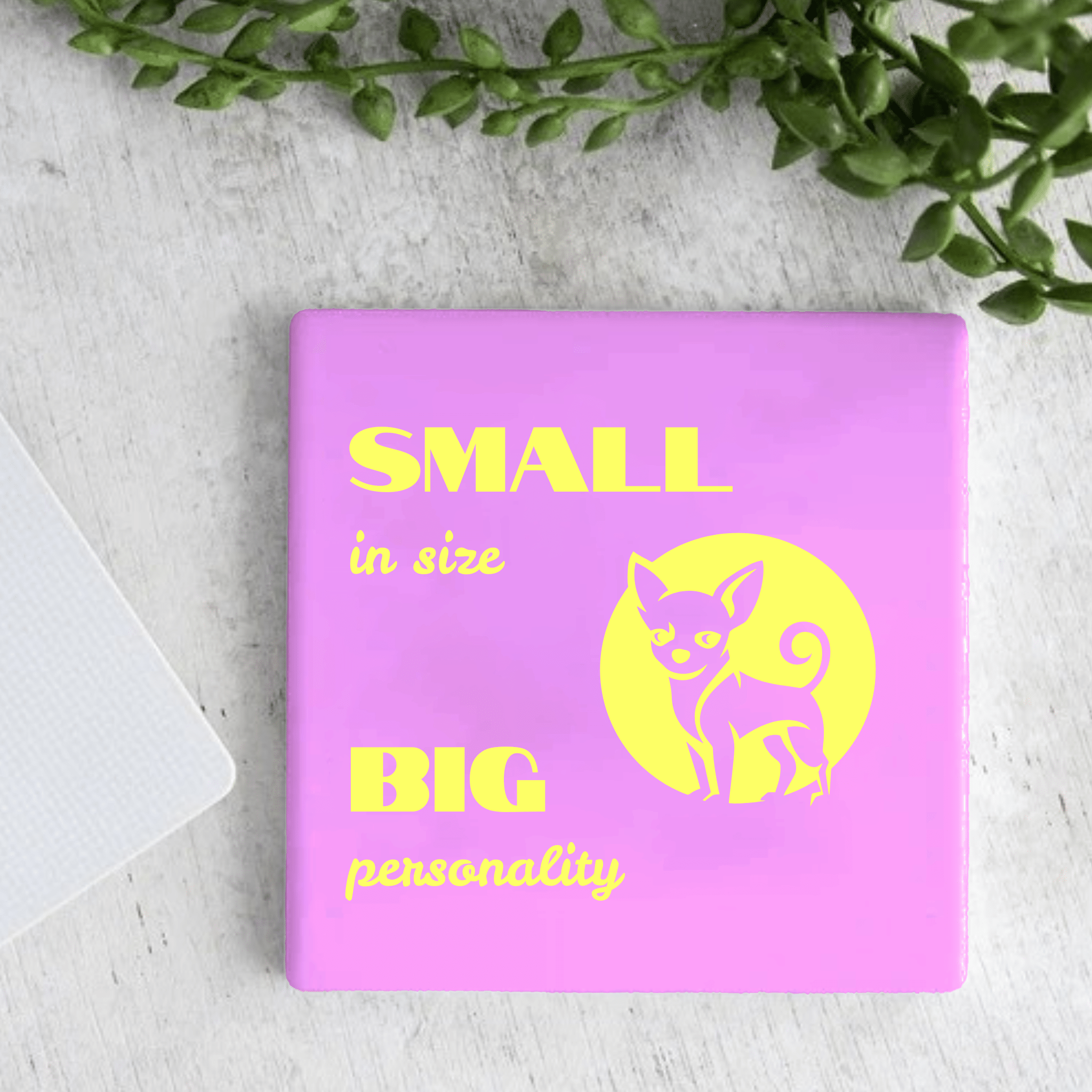 Tegel - Small in Size Big Personality
