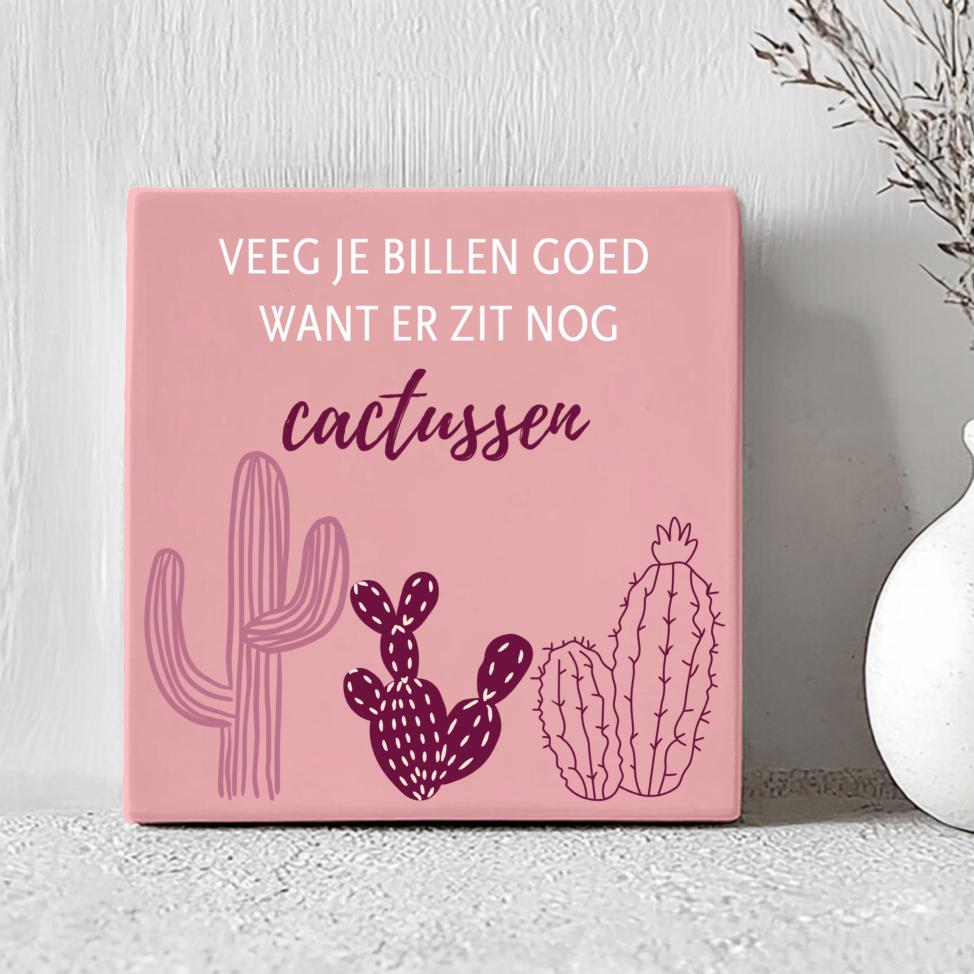 Tegel - Veeg Je Billen Goed Want Er Zit Nog Cactussen