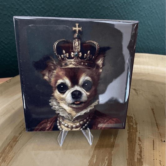 Tegel Houder - Transparant Houdertje