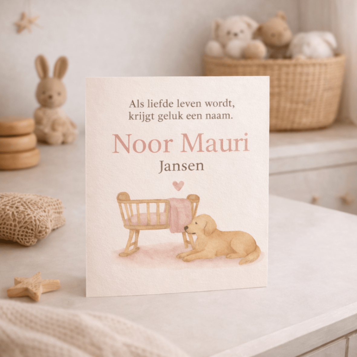 Voorlees Kussen - Geboorte Kaartje Gepersonaliseerd