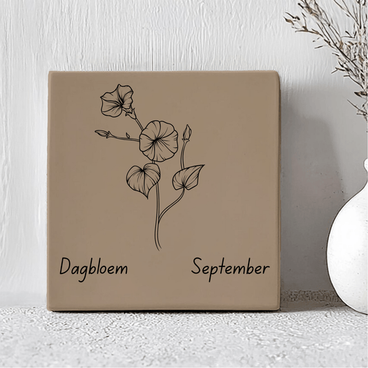 Geboorte Tegel - September Dagbloem